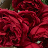 David Austin Rose - Red - 70cm