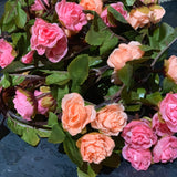 Mini Rose Garland - 230cm - Pink & Peach